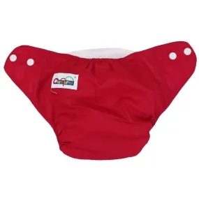 Adjustable And Reusable Diaper