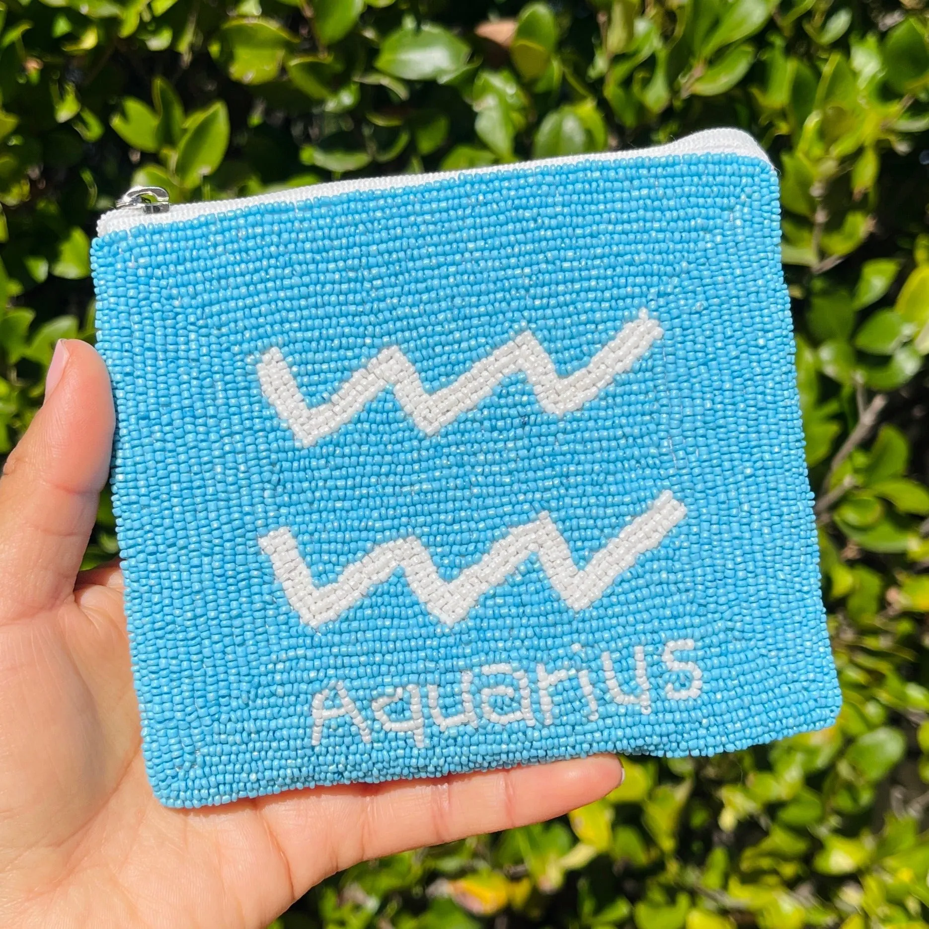 Aquarius Beaded Small Purse