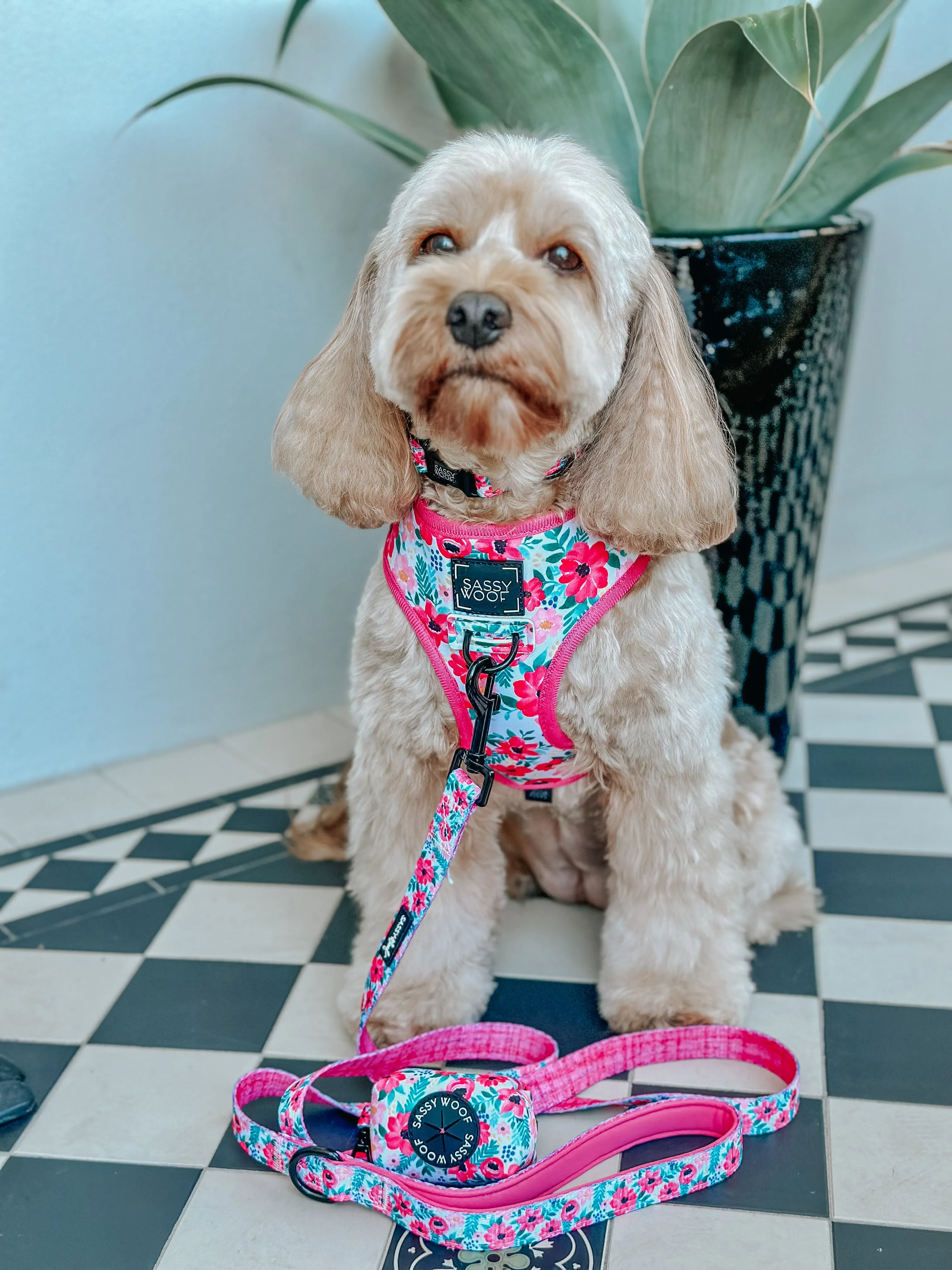 Dog Waste Bag Holder - Floral Frenzy