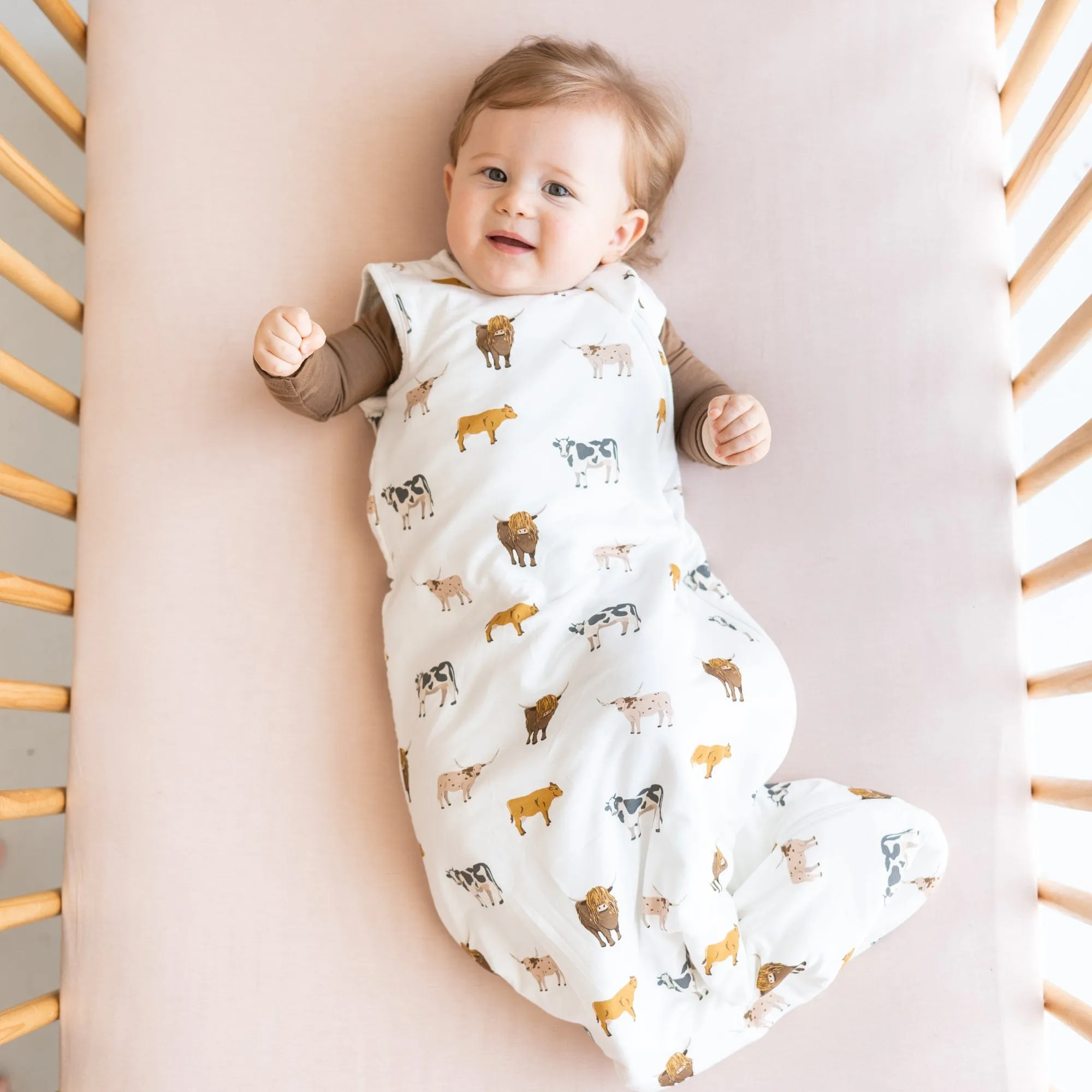 Kyte Baby Sleep Bag 1.0 TOG | Moo