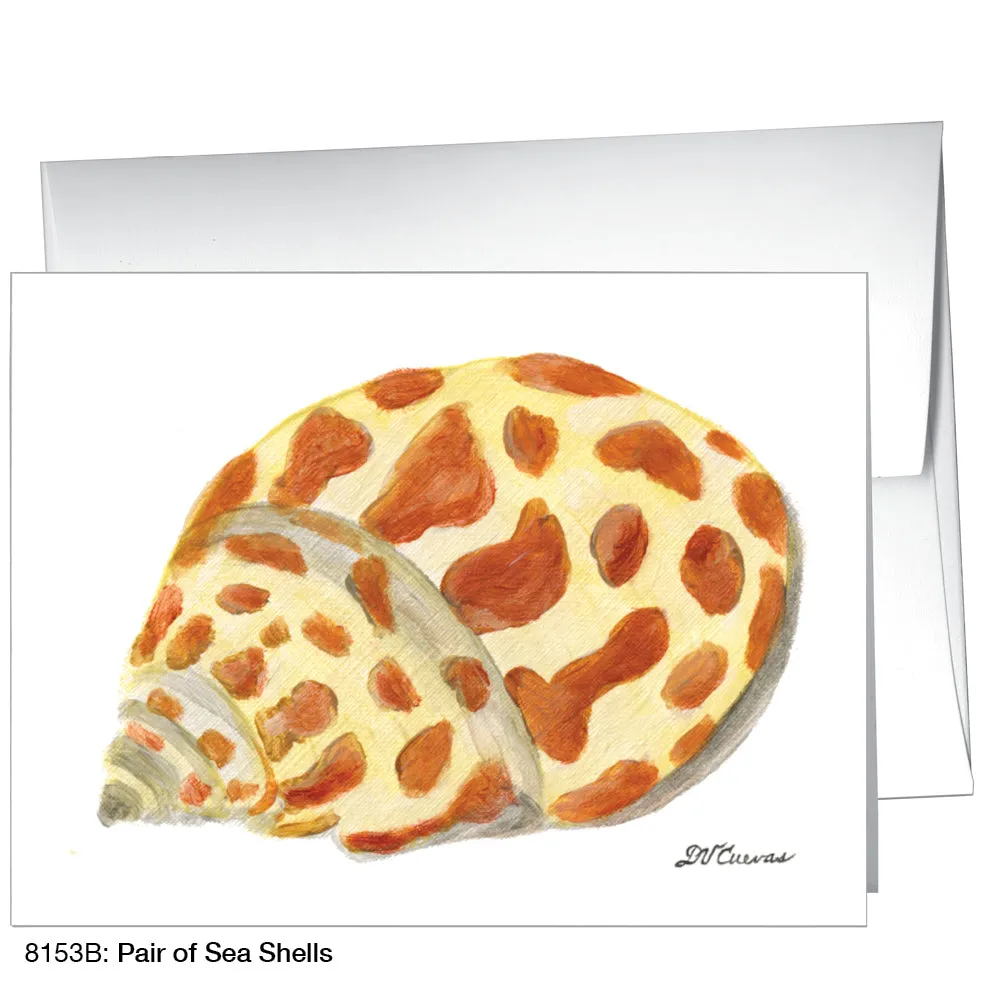 Pair Of Sea Shells, Greeting Card (8153B)