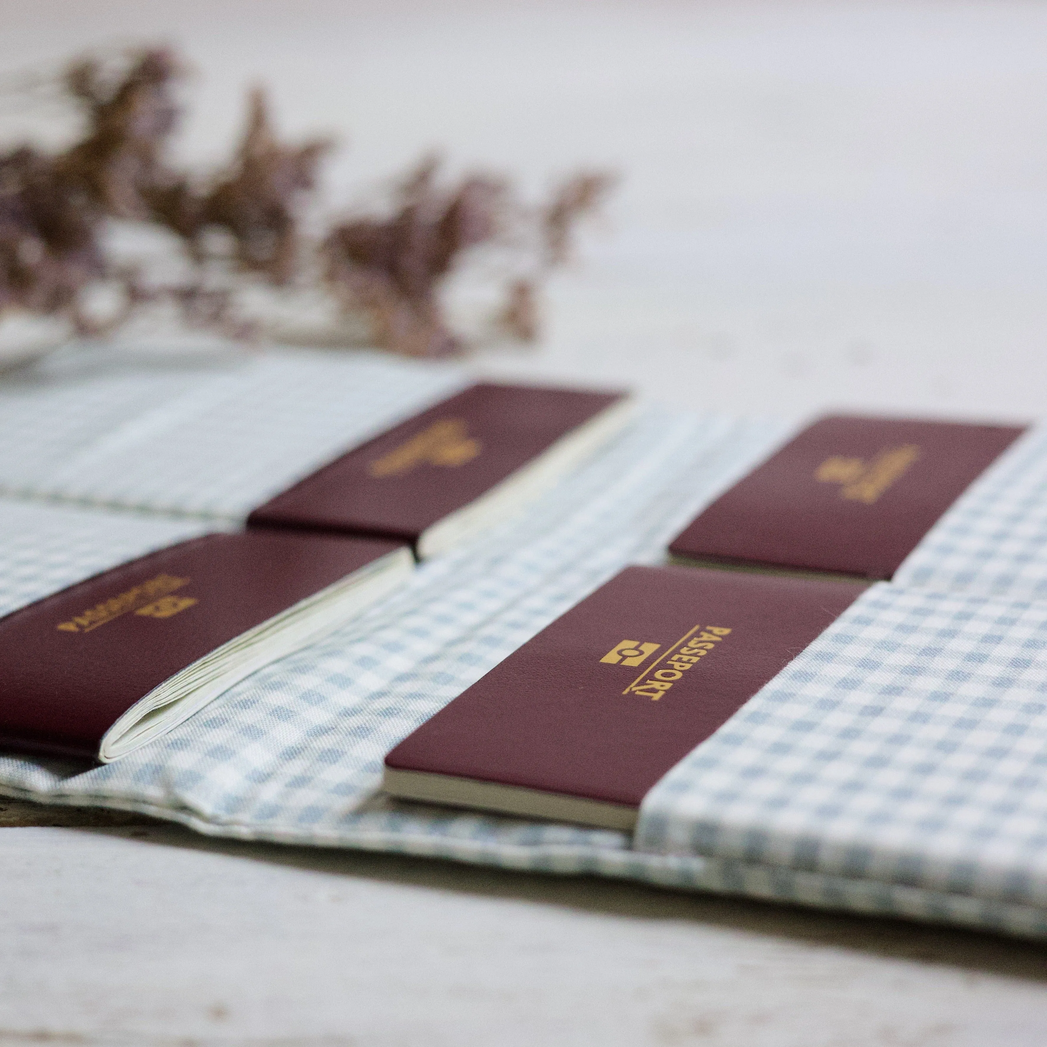 Passport holder FAMILY - Vichy Green