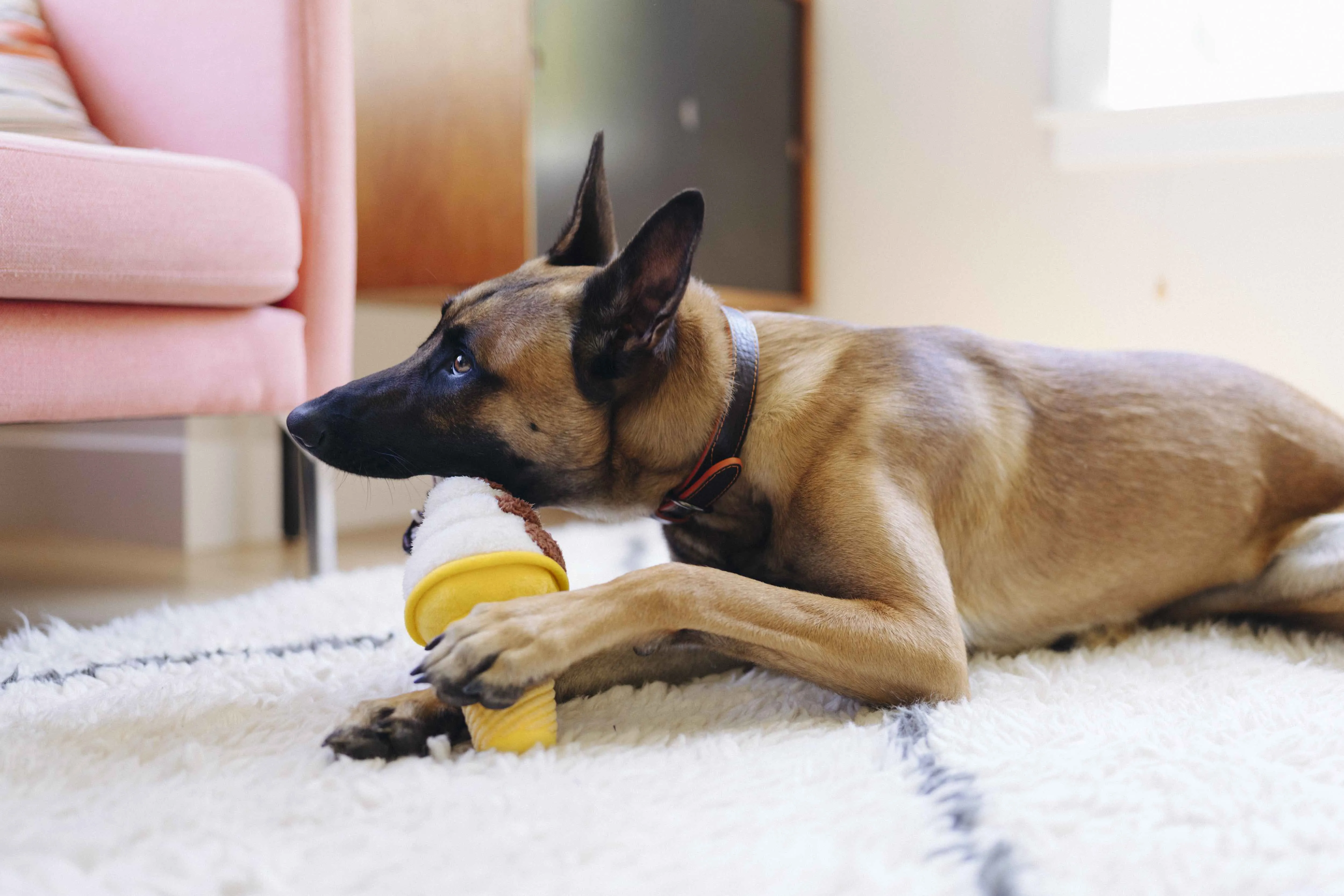 P.L.A.Y. Snack Attack Squeaky Plush Dog toys, Swirls n Slobbers Soft Serve