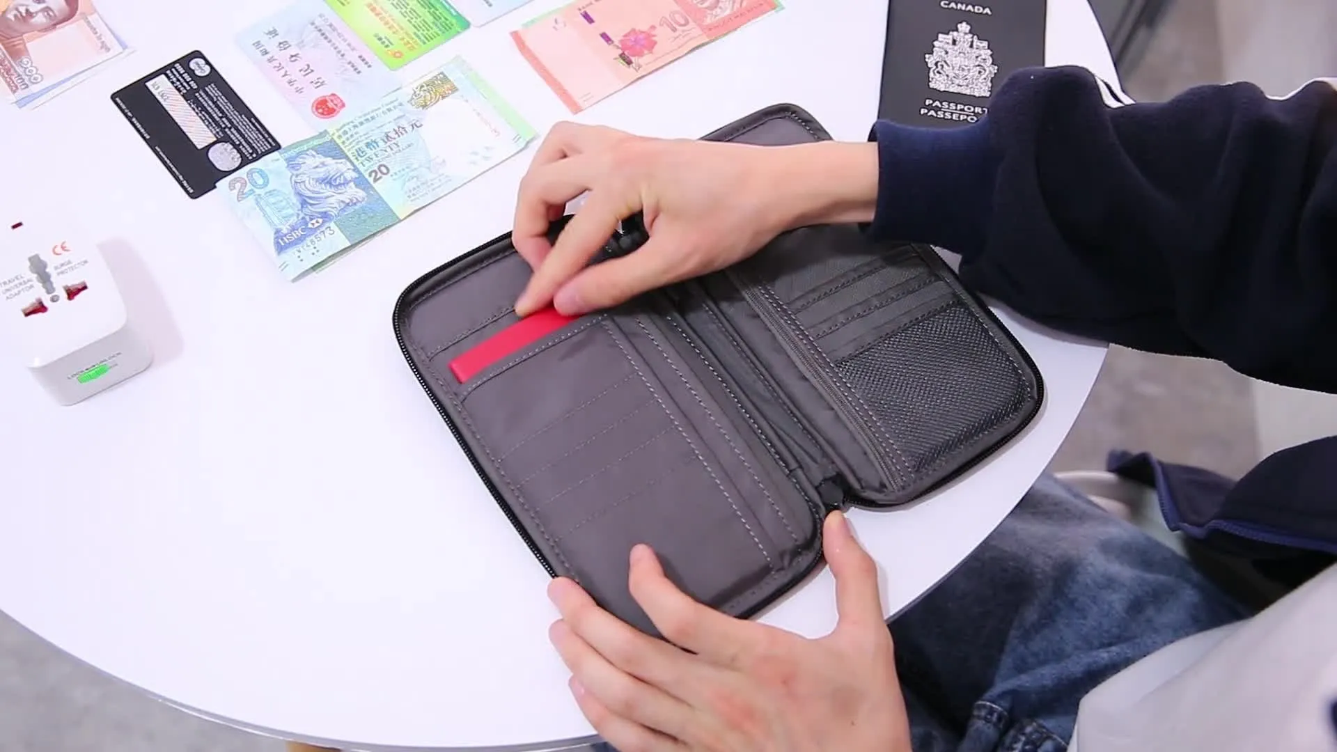 Travel Passport  and  Multi Credit Card Holder